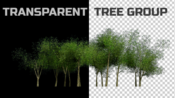 Tree Group Animation