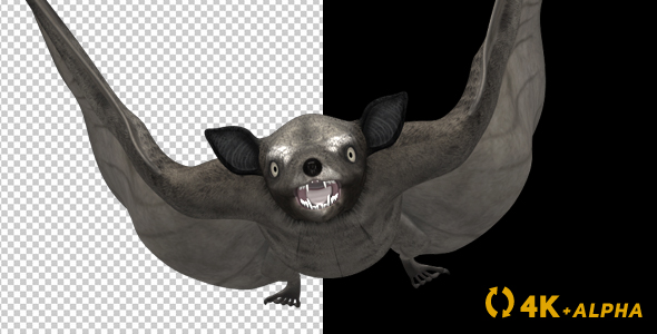 Super Bat - Flying Cycle - Front View - 4K alt