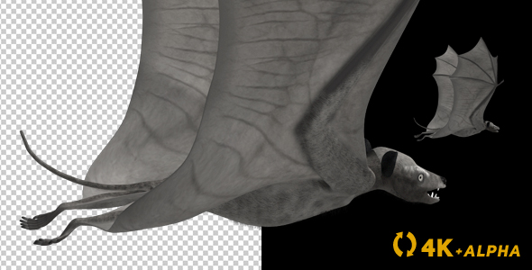 Super Bat - Flying Loop - Back Angle - 4K alt