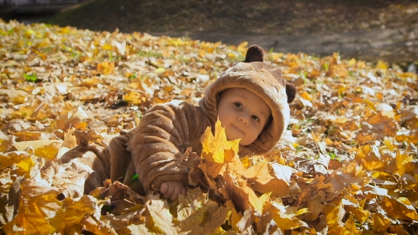 Happy Playful Child Outdoors. Cute Kid In Bear Costume Lies In Yellow Autumn Leaves. The Little Boy