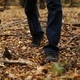 A Man Walks in Autumn Forest - VideoHive Item for Sale