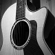 Acoustic Guitar