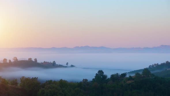 4K : Beautiful light of the dense fog and the sky at sunrise.