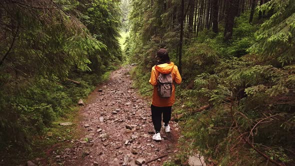 Woman Hiker Backpacker Walking By Forest Footpath