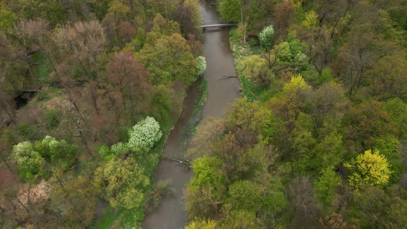 Aerial View of Spring River in the Middle of Green Forest