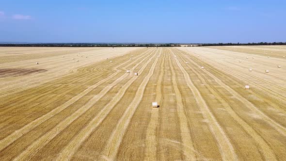 Round bales of straw on the wheat field after harvest, field haystacks landscape