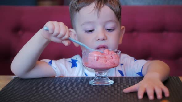 Portrait of a Child Boy Eats Mashed Potatoes with Salad, Tomatoes, Broccoli and Red Sauce in a Light