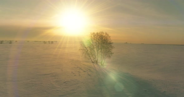 Aerial View of Cold Winter Landscape Arctic Field Trees Covered with Frost Snow Ice River and Sun