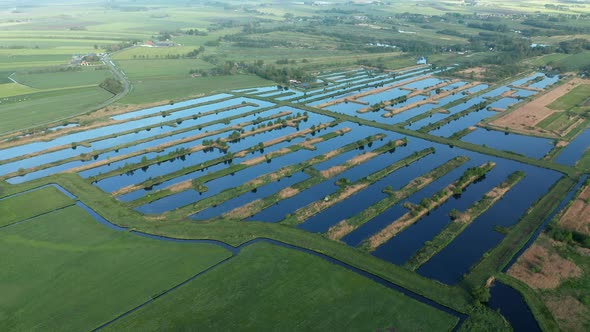 Aerial View Of Polders In Rural Area Of Friesland In Netherlands.