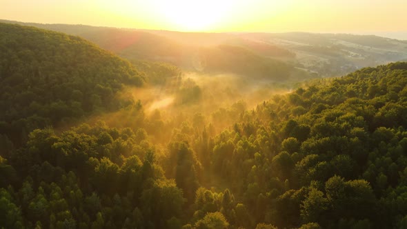 Aerial View of Bright Foggy Morning Over Dark Forest Trees at Warm Summer Sunrise