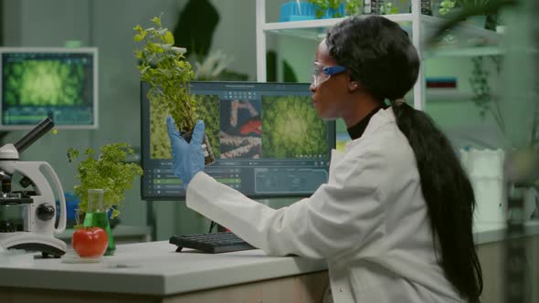 Scientist Looking at Green Sapling for Medical Experiment