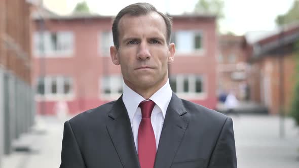 Portrait of Businessman Looking at Camera