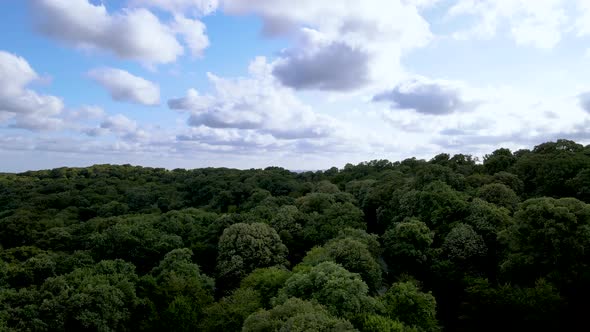 Drone flight over the north Istanbul forest. Cloudy sky and green nature