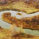 Aerial view of autumn forest and river with colorful trees. - VideoHive Item for Sale