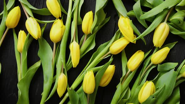 Yellow Tulips Placed on Black Table. Top View with Flat Lay