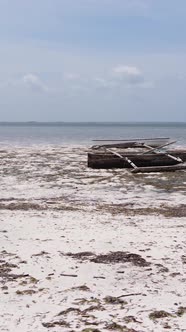 Vertical Video of Low Tide in the Ocean Near the Coast of Zanzibar Tanzania