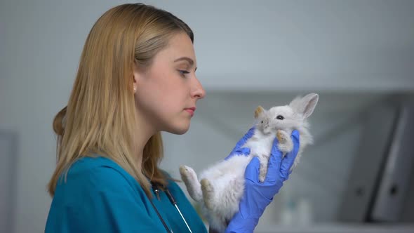 Female Vet Examining Rabbit Fur and Stomach, Complete Pet Physical Checkup