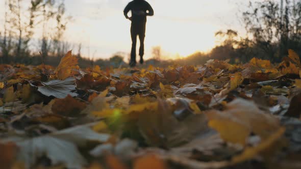 Male Sportsman Jogging in Autumn Park Stepping on Dry Maple Leaves