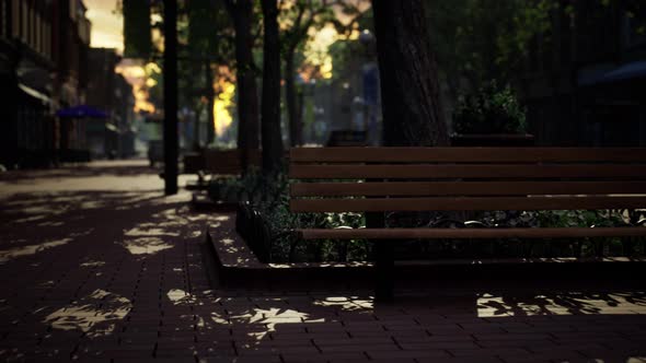 Empty Public Park During Curfew Cause of Corona Virus Quarantine