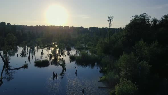 Camera Flies Slowly Forward Through Trees And Ends In Wide Shot With The Swamp In Backlight