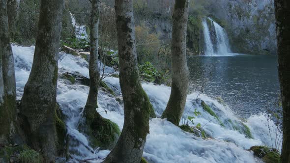 Waterfalls and trees trunks at Plitvice Park