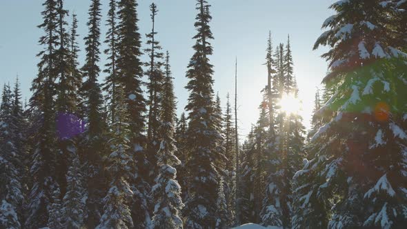 Beautiful Snow Covered Landscape in Canadian Mountain Nature During Winter Sunny Morning