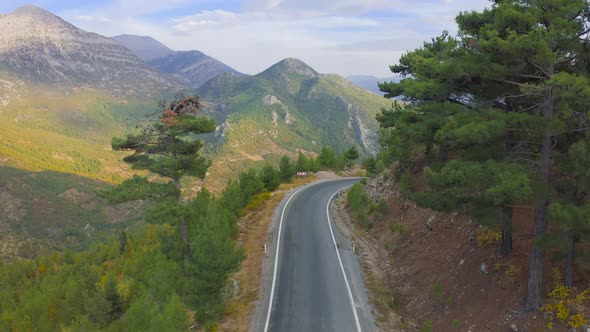 Beautiful Winding Road Surrounded By Pine Forest and Mountains in Manavgat Antalya Turkey