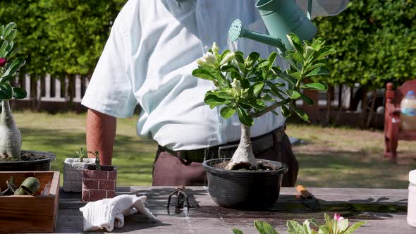 Asian retirement grandfather watering the plants after changing soil and pot at the garden home.