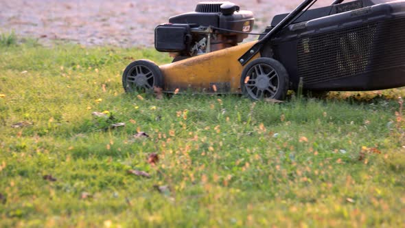 Lawn Mower in Motion.