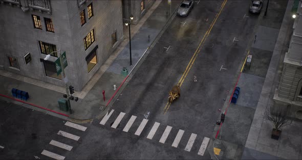 Triceratops Walks Down a New York Street