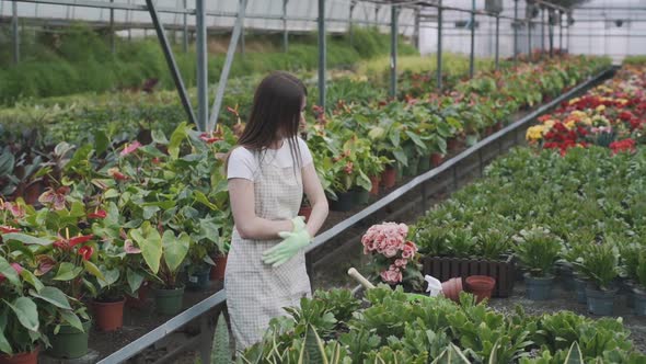 Cheerful woman gardener florist dances in a good mood and continues to work. Female farmer working i