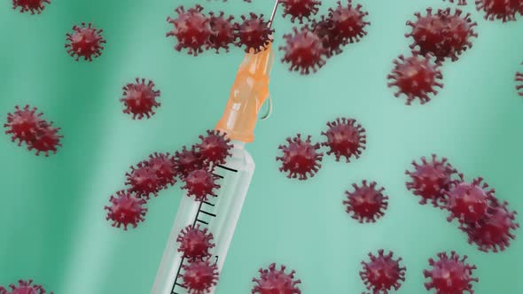 Virus Transition alt