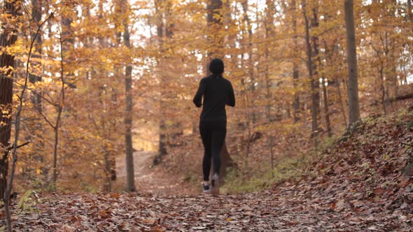 Female runner on wooded trail - Rock Creek Park - Washington, DC - Autumn