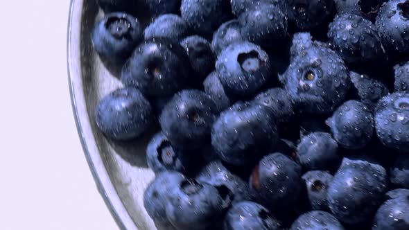 Fresh Blueberries in Plate Rotating Slow Motion