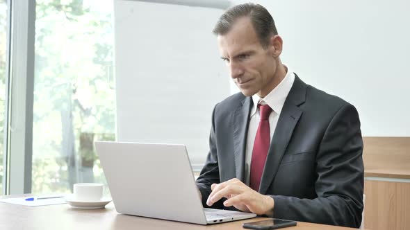 Excited Businessman Celebrating Success Working on Laptop