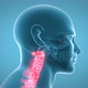 Cervical Vertebrae - VideoHive Item for Sale