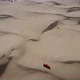 Top View of Cars Driving Through the Desert Sands in Kazakhstan - VideoHive Item for Sale