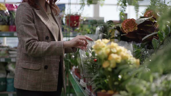 Female Shopper Gardener Chooses Decorative Blooming House Flowers in Pots on Shelves of Flower Shop