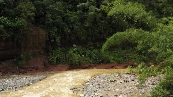 Aerial view following a tropical river towards bamboo leaves that are hanging over the river