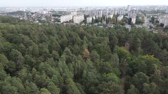 Aerial View of the Border of the Metropolis and the Forest. Kyiv, Ukraine