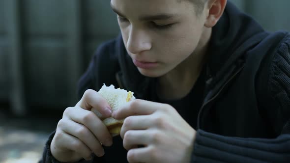 Hungry Teen Boy Eating Cheap Unhealthy Sandwich, Poor Quality Meal for Child