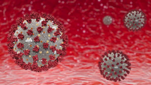 Realistic 3D Animation of the Coronavirus 2019