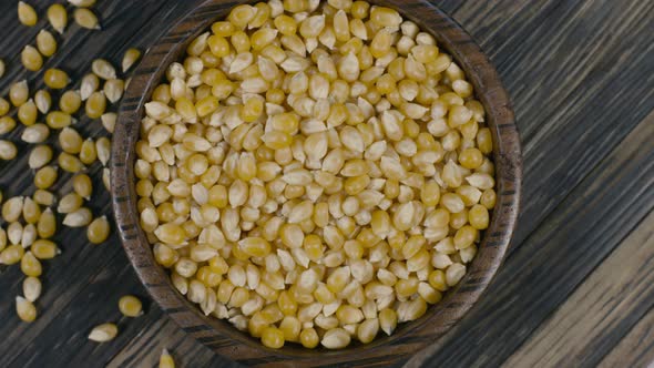 Corn Seeds Display