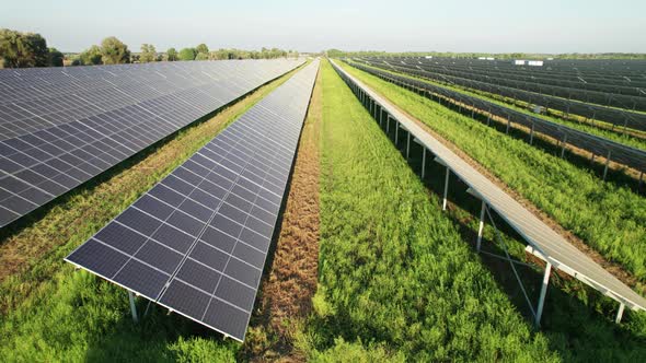 Aerial View Solar Power Station on Green Field at Sunset Solar Panels in Row