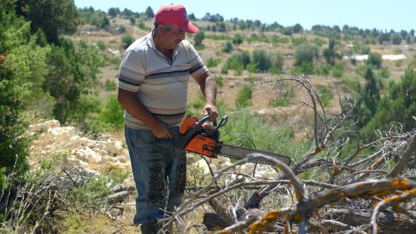 Adult Man Cutting Wood with Saw