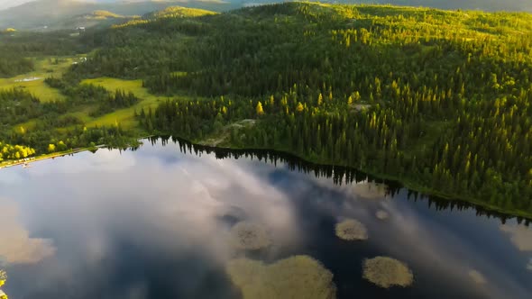 Bamselitjernet lake and forest near Beitostolen, Norway