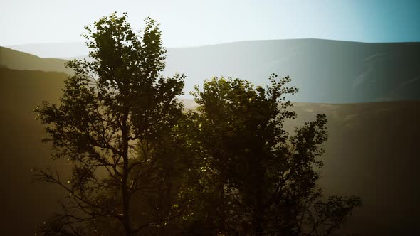 Beautiful Rocks with Few Trees at the Daylight in Nepal