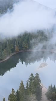 Vertical Video Mountain Lake Synevyr