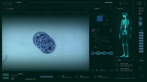Microscopic Cell Mitosis Process In Microbiology Science Analysis In Laboratory alt