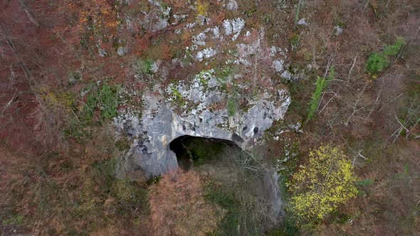 Mystic Big Cave Entrance in the Forest 